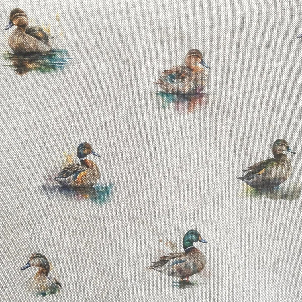 Placemats, Ducks 2024